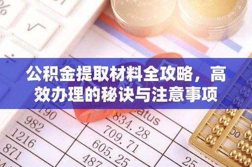 临江公积金提取材料全攻略，高效办理的秘诀与注意事项