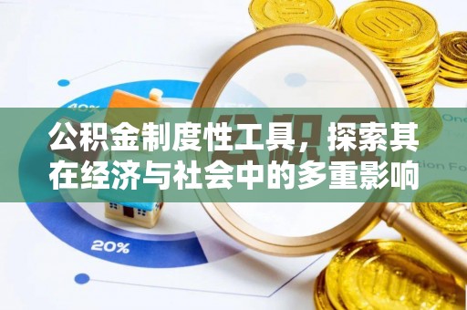 临江公积金制度性工具，探索其在经济与社会中的多重影响