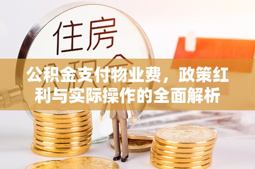 临江公积金支付物业费，政策红利与实际操作的全面解析