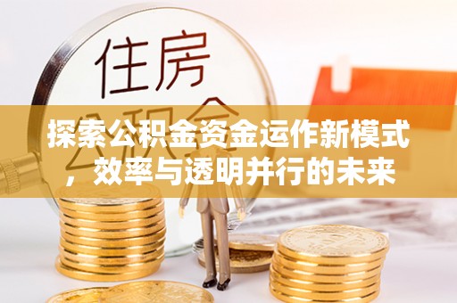 临江探索公积金资金运作新模式，效率与透明并行的未来