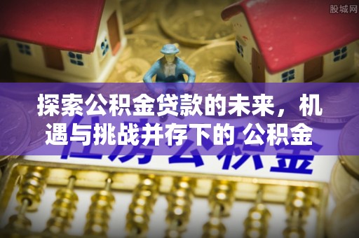 临江探索公积金贷款的未来，机遇与挑战并存下的 公积金贷款风险防控