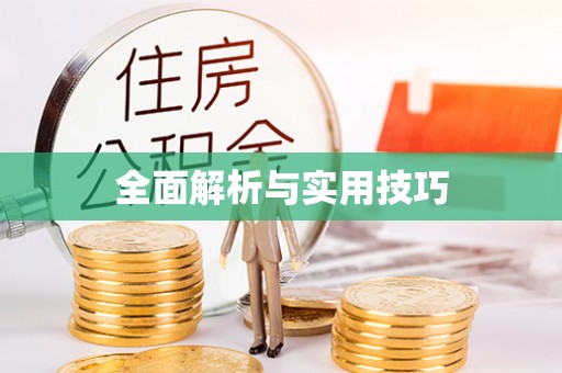 临江全面解析与实用技巧