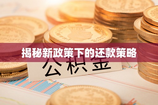 临江揭秘新政策下的还款策略