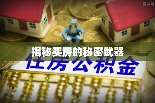 临江揭秘买房的秘密武器