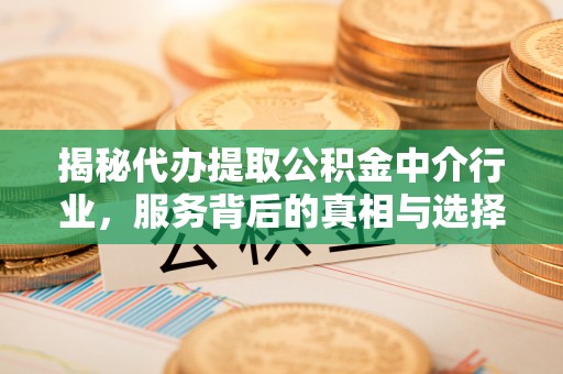 临江揭秘代办提取公积金中介行业，服务背后的真相与选择指南