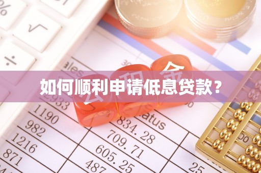临江如何顺利申请低息贷款？