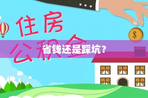 临江省钱还是踩坑？