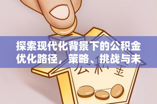 临江探索现代化背景下的公积金优化路径，策略、挑战与未来展望