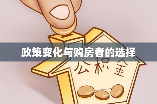 临江政策变化与购房者的选择
