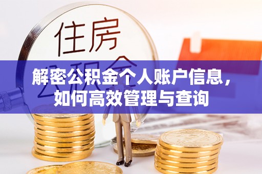 临江解密公积金个人账户信息，如何高效管理与查询