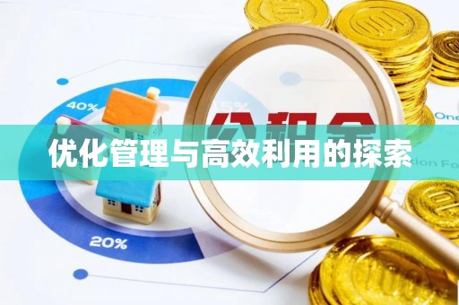 临江优化管理与高效利用的探索