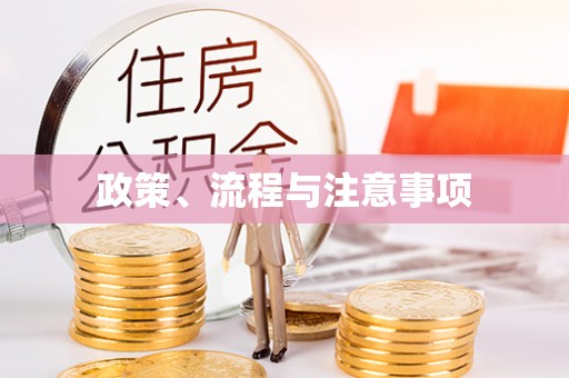 临江政策、流程与注意事项