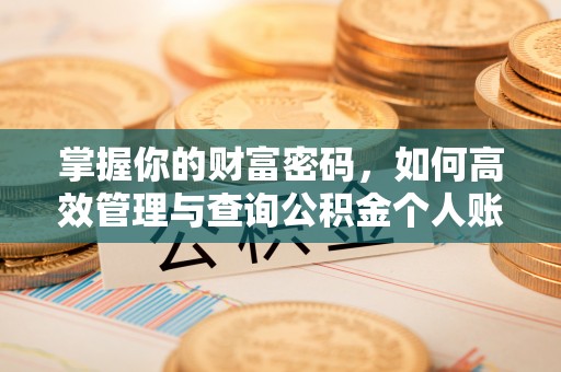 临江掌握你的财富密码，如何高效管理与查询公积金个人账户信息