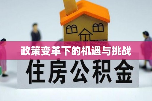 临江政策变革下的机遇与挑战
