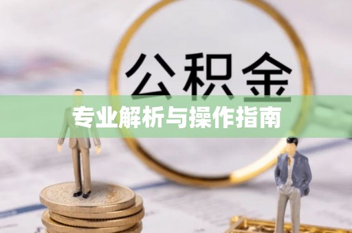 临江专业解析与操作指南