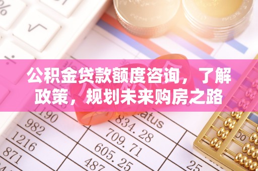 临江公积金贷款额度咨询，了解政策，规划未来购房之路