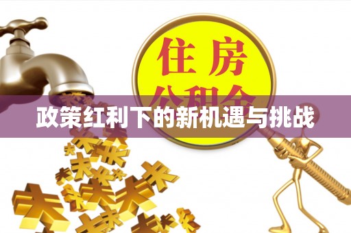 临江政策红利下的新机遇与挑战