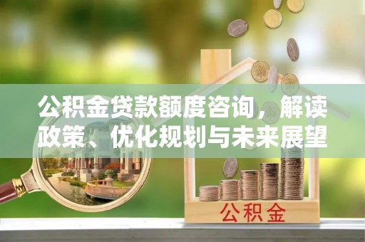 临江公积金贷款额度咨询，解读政策、优化规划与未来展望