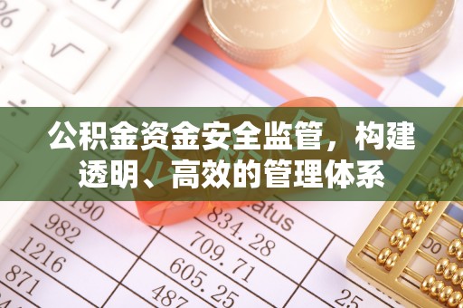 临江公积金资金安全监管，构建透明、高效的管理体系