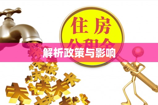 临江解析政策与影响