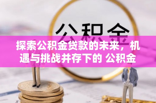临江探索公积金贷款的未来，机遇与挑战并存下的 公积金贷款风险防控