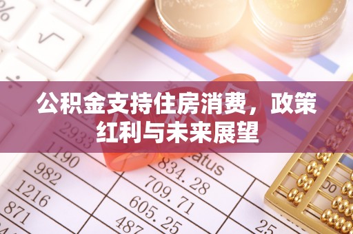 临江公积金支持住房消费，政策红利与未来展望