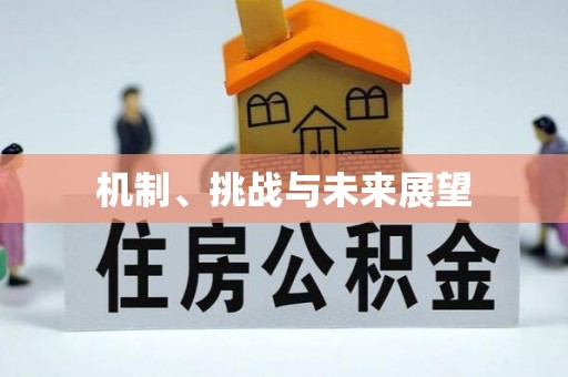 临江机制、挑战与未来展望