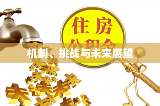 临江机制、挑战与未来展望